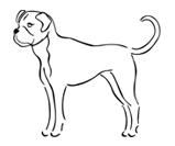 Symbols - Image 10